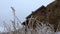 Lonely Medieval Stone House in the Mountains Covered in Falling Snow