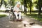 A lonely old man sits in a park on a wheelchair and feeds pigeons