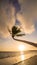 Lonely palm hanging on the beach during sunrise on Boracay. White beach at Boracay island, Philiphines.