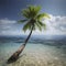 Lonely palm tree on the small island. AI-Generated.