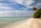 Lonely Palm Tree on tropical island sandy beach, resort waterfront beach landscape view, Cuba vacation, Cayo Guillermo