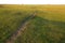 Lonely path in a field in the autumn evening.