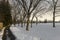 Lonely Path Moody Weather Winter Blues Public Park Calgary Alberta