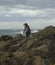 Lonely penguin in New Zealand coast