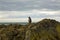 Lonely penguin in New Zealand coast