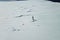 Lonely penguin on snow ice space of Antarctica