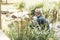 A lonely pensioner enjoys nature, takes pictures by the lake. Well-being in old age, rest alone