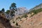 Lonely pine tree leaning over rocky roads in