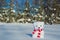 Lonely polar bear toy with a striped scarf in the snow