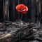Lonely Poppy in Burnt Forest , generated by AI