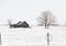 A lonely prairie winter landscape