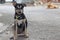 Lonely puppy dog in a chain sitting and looking at camera. Selective focus and shallow depth of field.