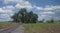 Lonely Rail Road Track Going thru Trees and Farmland