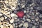 Lonely red heart with drops of water lies on a stone beach, concept of loneliness, concept of love. Symbol of love and family.