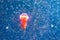 Lonely red jellyfish among deep-sea waters and bubbles, microcosm