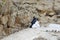 Lonely religious nun with monastic habit during prayer