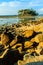 Lonely remote island with rock beach and tree when the sea water