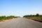 Lonely road without cars passing through the middle of a cassava plantation.