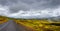 Lonely road through rough and colorful Icelandic landscape, Iceland