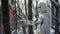 Lonely Robotic Arm: A Cloaked Robot In A Snowy Forest