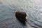 A Lonely rock in the Adriatic sea (Montenegro, winter)