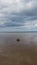 Lonely Rock in Sea at Trimmingham Beach