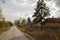 Lonely rural houses on the main street of Kurjanto, Szabadszallas