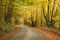 Lonely rural road with fall colors