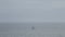 A lonely sailboat in the waters of Atlantic Ocean. Portuagal