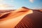 The lonely sand dunes speak volumes about the reality of global warming