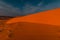 Lonely sand dunes. Sunset desert landscape
