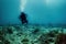 Lonely scuba diver and diver underwater view of the ocean floor with plants.