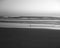 Lonely seagull at the beach of Veracruz Mexico