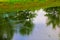 A lonely Seagull floats on the calm surface of the pond