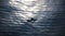 A lonely seagull on the quiet sea at sunset, taken in Dalian, Liaoning Province