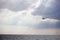 Lonely seagull soars over the sea. the sun shines through the thick clouds. south of Russia.