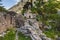 Lonely Serbian Church in Mountains