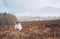 Lonely sheep grazing on the Scottish Highlands meadows. Early march spring landscape photo under Ben Nevis mountain - the UK`s