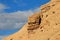 A lonely sheep on the horizon, Chubut, Argentina