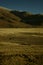 Lonely Shepherd in Tibet