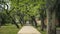 Lonely Sidewalk in the city center of Gyula, Hungary