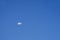 Lonely skydiver in blue sky