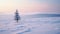 Lonely Snow-covered Pine Tree In The Mountains