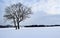 Lonely snowy tree in the middle of a field.