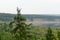 Lonely spruce in the near plan photos of the turn of the Yakut Northern river vilyu at the cliffs from the forests in the wild