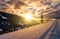 Lonely spruce tree on snowy hillside at sunrise