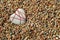 Lonely stone heart at a beach