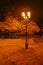 a lonely street lamp on a winter night. Snow is falling