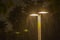 Lonely street light in heavy rain