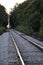 Lonely stretch of Train Tracks Between Forest